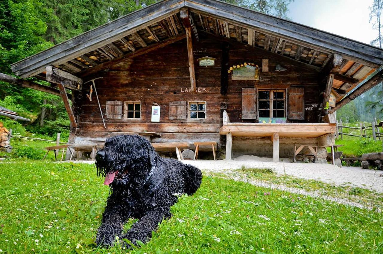 Pension Greti Schönau am Königssee Extérieur photo